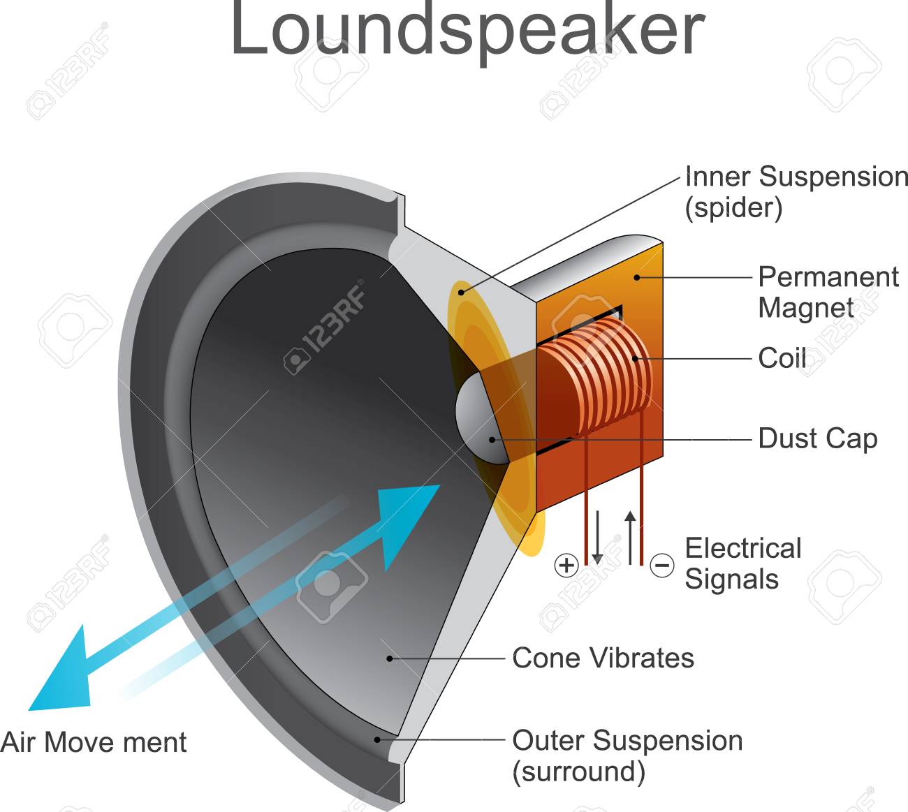 alexa for google home
