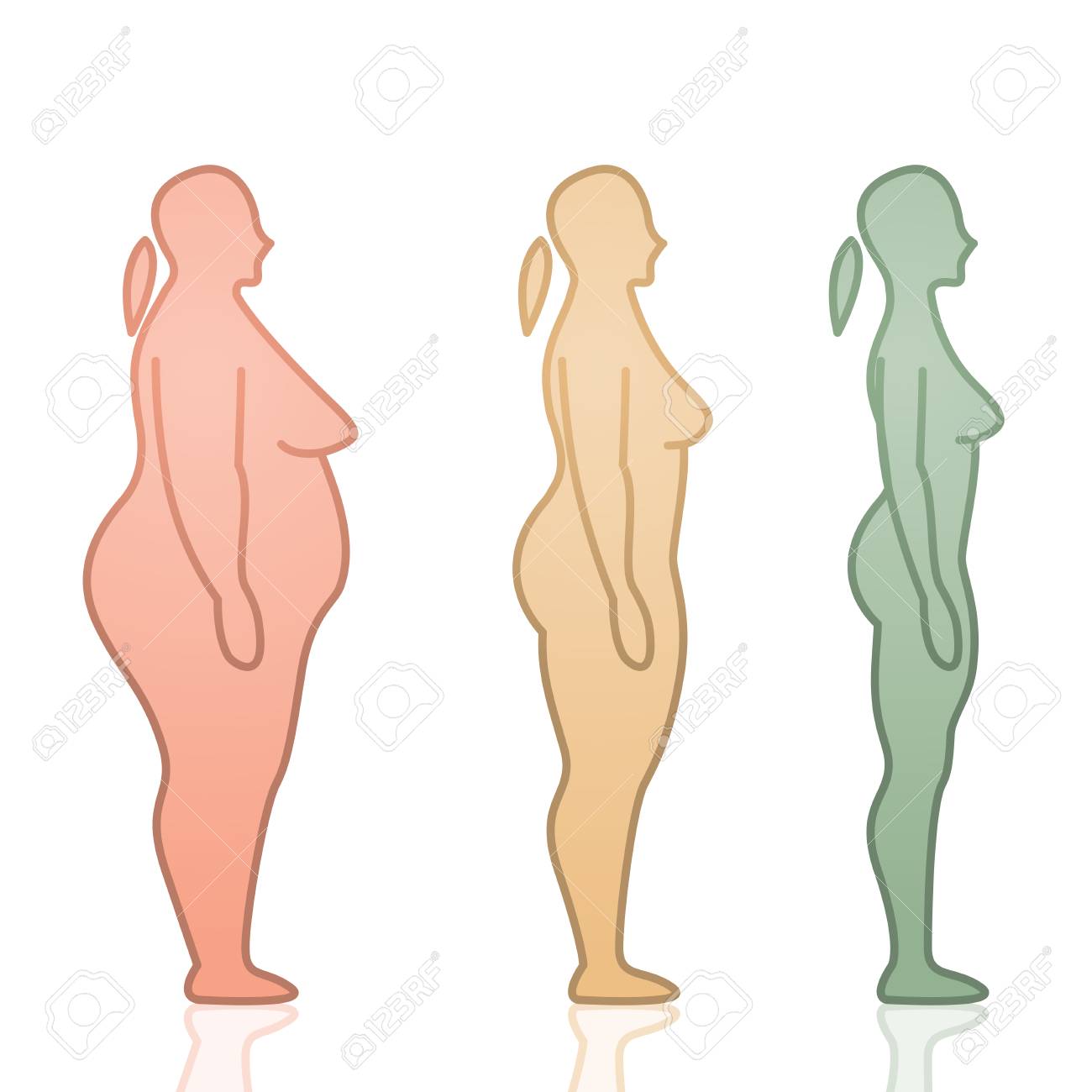 スキニー女性シルエットフラットアイコンデザインベクトルイラストに脂肪のイラスト素材 ベクタ Image