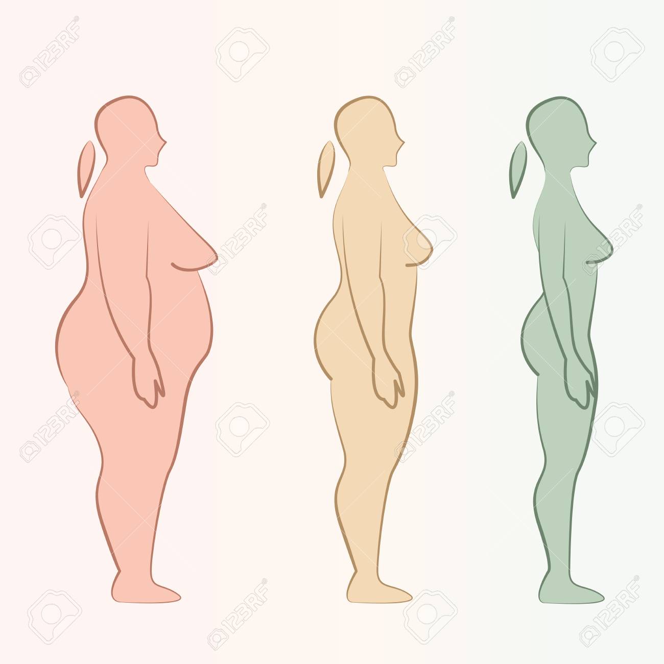 細い女性のシルエットに脂肪のイラスト素材 ベクタ Image