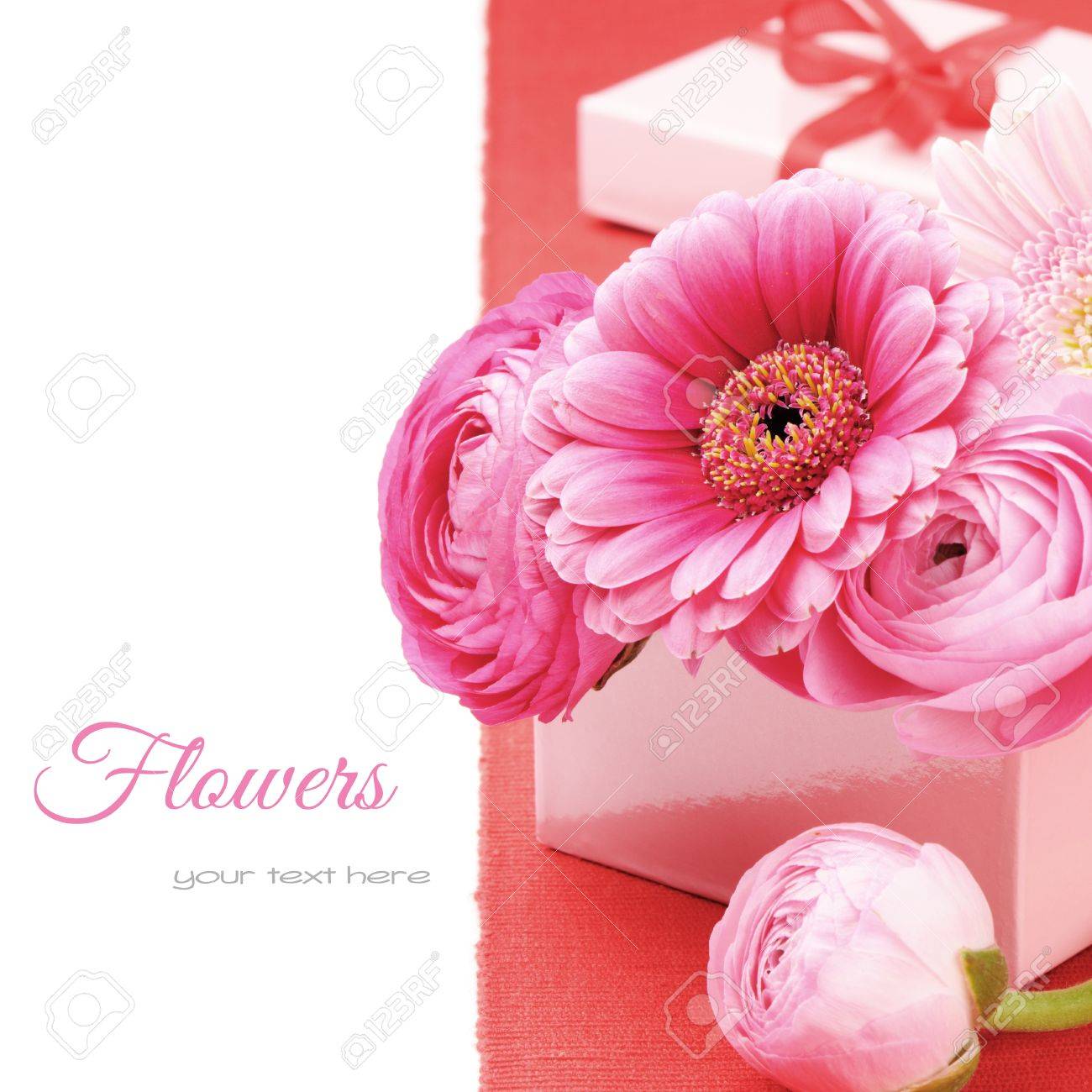 free gerber gift box