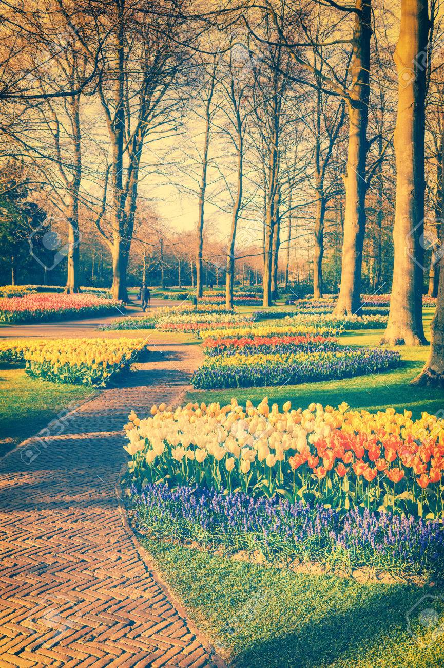 Immagini Primavera Paesaggi Cerca Con Google Paesaggi Immagini Primavera