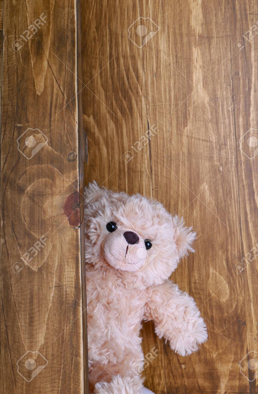 the cutest teddy bear