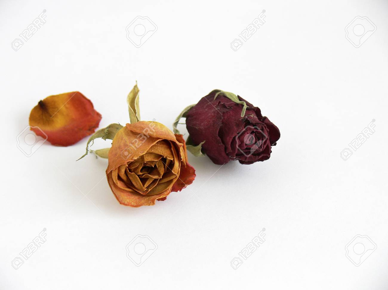 como utilizar petalos de rosa secos