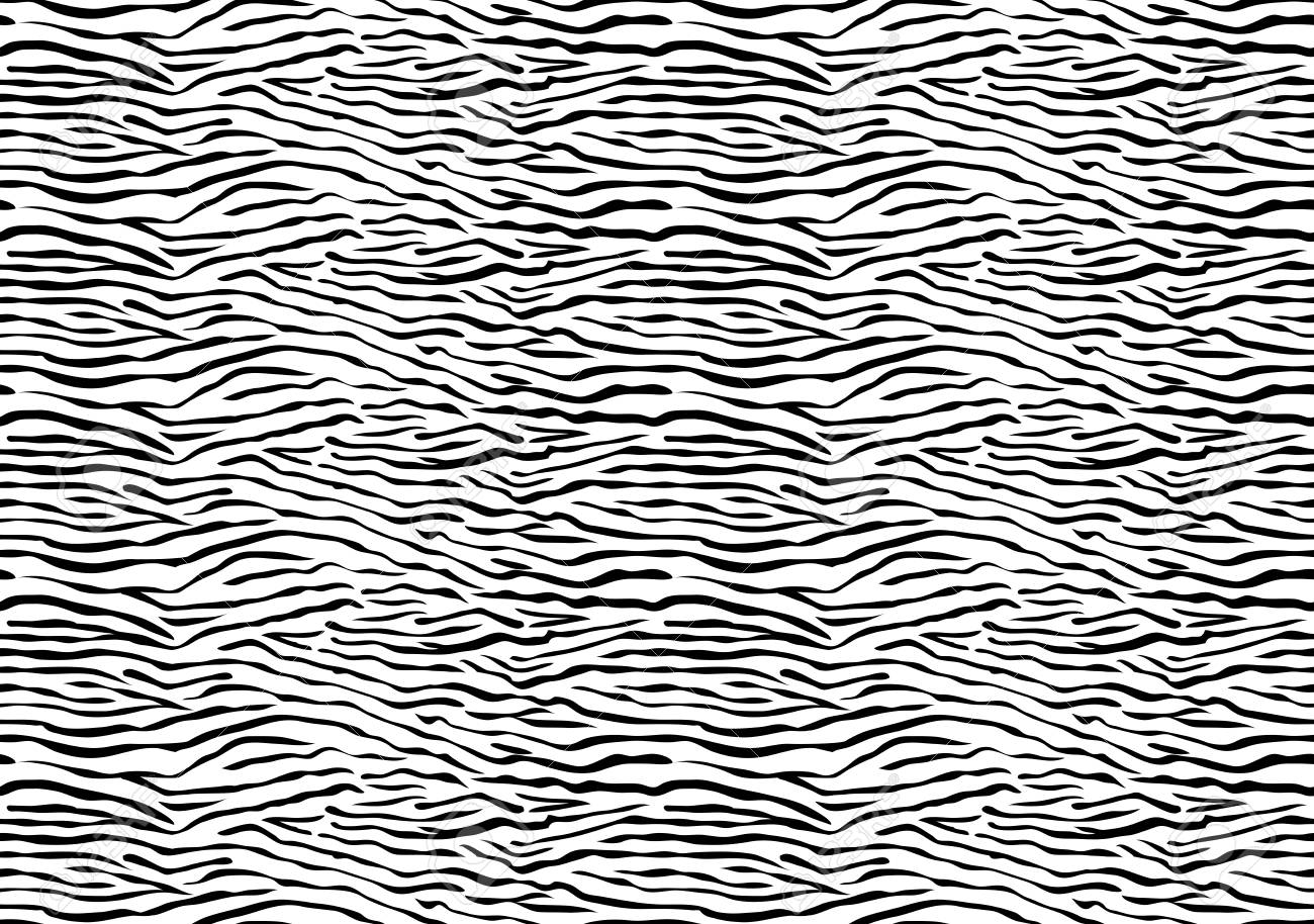 Abstract Black And White Zebra Stripes Seamless Pattern With A High Density Of The Sand Dunes Abstract Black And White Zebra Stripes Seamless Pattern With A High Density Of The Sand Dunes
