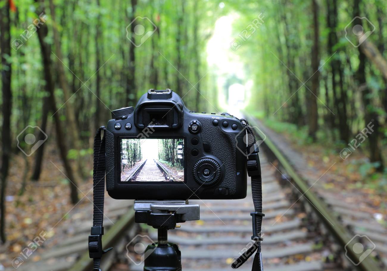 森林鉄道の抽象的なデジタル一眼レフ カメラ の写真素材・画像素材 