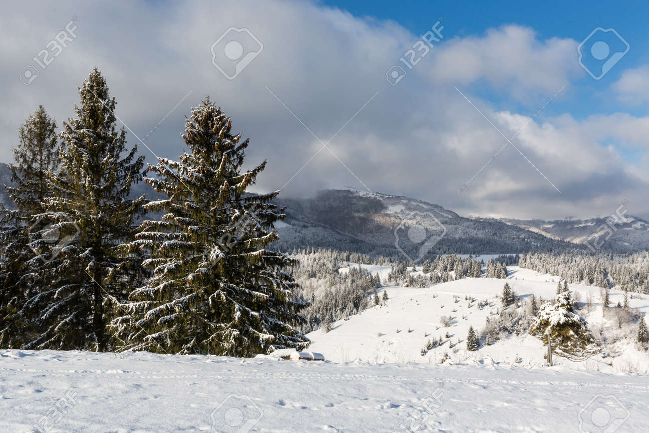 Nice winter day in Carpathian mountains. Take it in Ukraine - 165451650 Nice winter day in Carpathian mountains. Take it in Ukraine - 165451650