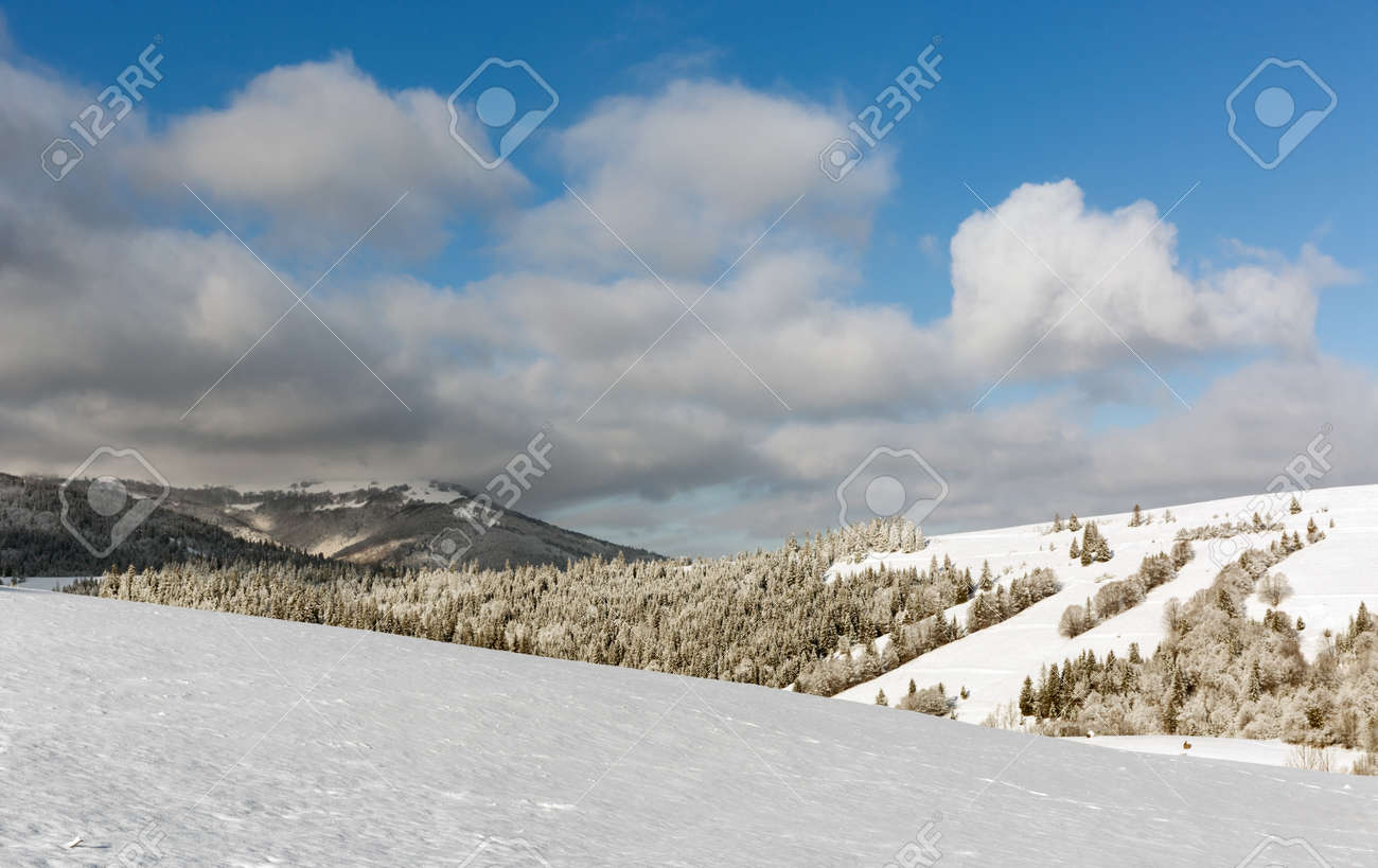 winter meadow under nice sky with clouds in Carpathian mountains in Ukraine - 165451720 winter meadow under nice sky with clouds in Carpathian mountains in Ukraine - 165451720