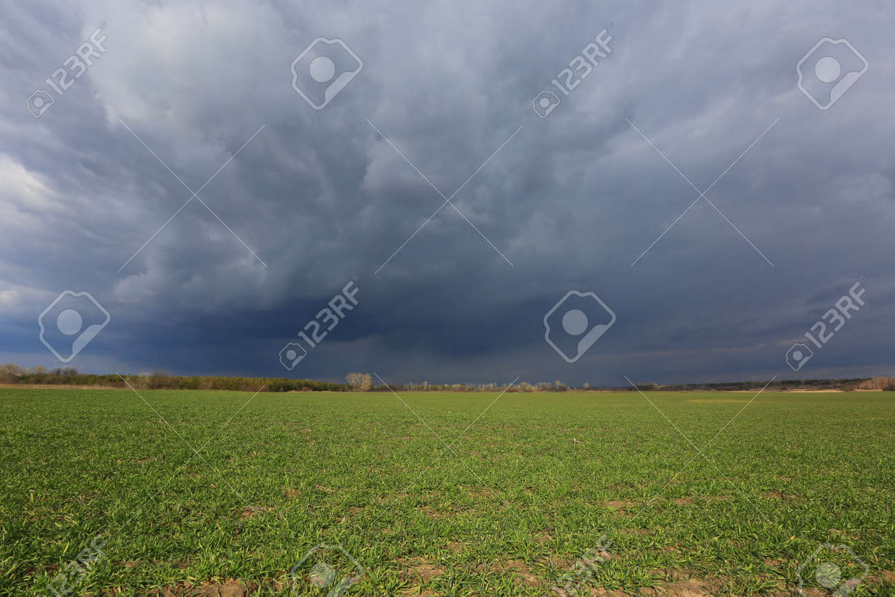 thunderstorm clouds in sky over spring green farming field - 167479203 thunderstorm clouds in sky over spring green farming field - 167479203