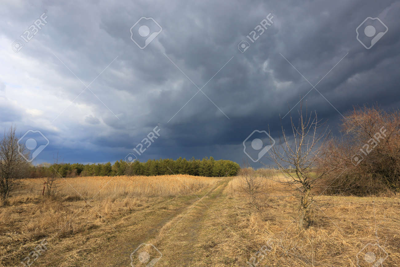 thunderstorm in spring stepe with heavy clouds in sky over dry grass field - 168208823 thunderstorm in spring stepe with heavy clouds in sky over dry grass field - 168208823
