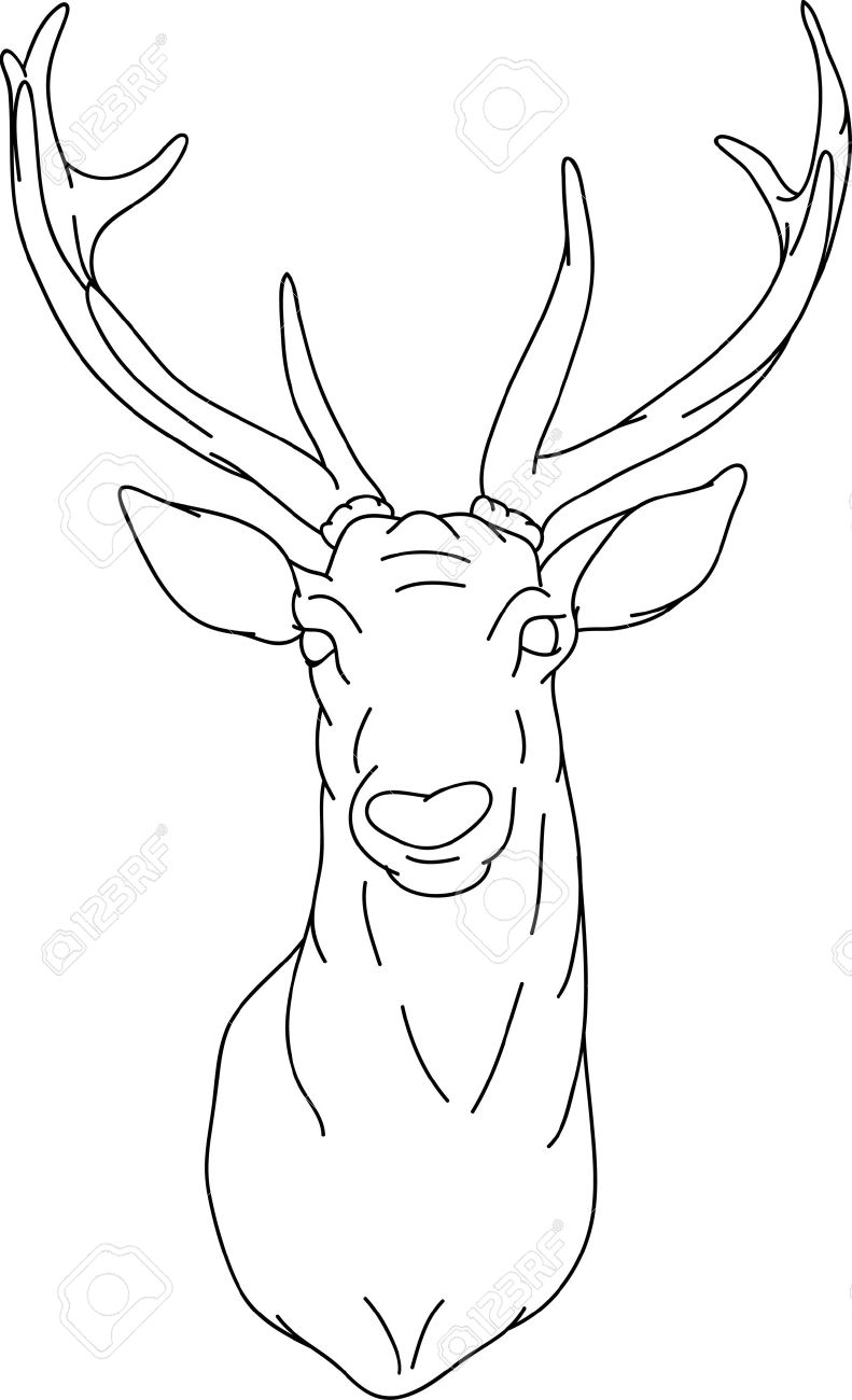 Deer - Hand Draw, Isolated On Background Royalty Free SVG, Cliparts,  Vectors, and Stock Illustration. Image 7198293., image size:791x1300