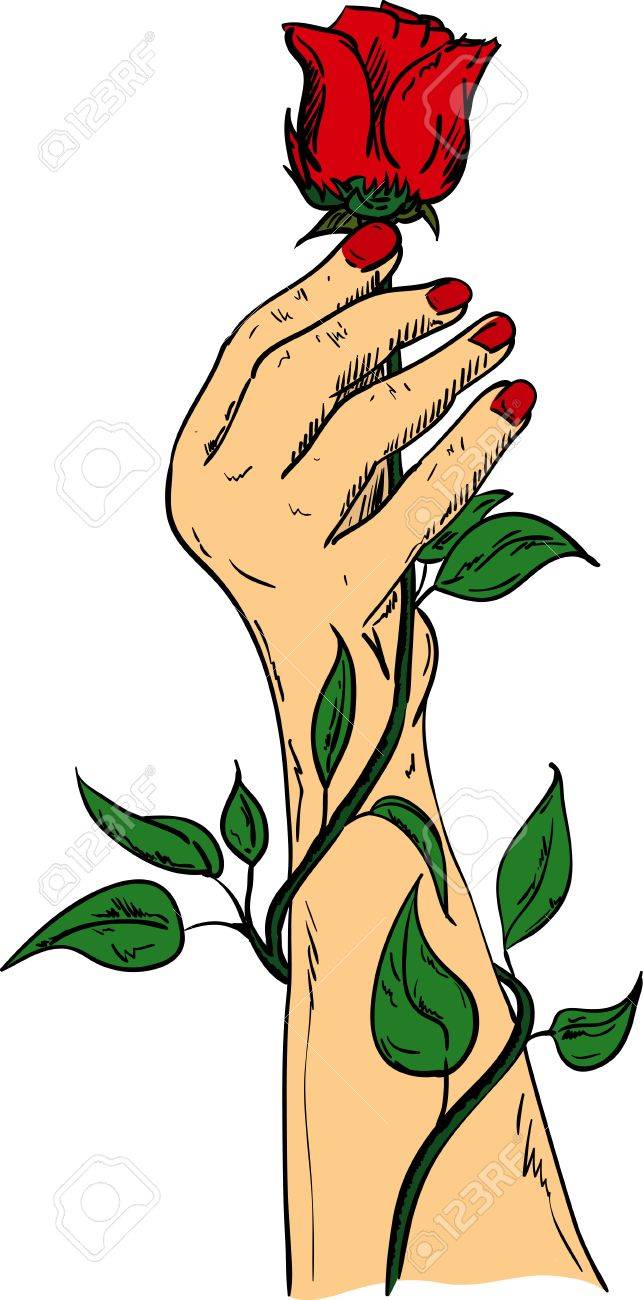 Vector Woman Hand Holding A Red Rose Isolated On Background