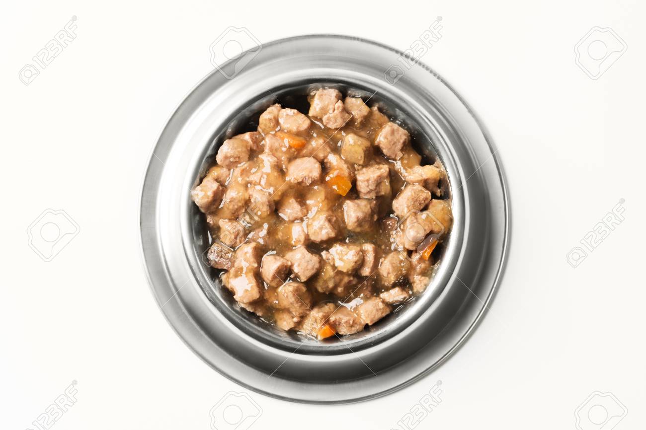 wet food for dogs and cats in silver bowl. - 72069806 wet food for dogs and cats in silver bowl. - 72069806