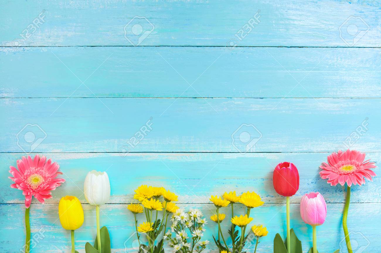 青い木製の背景上の行のカラフルな花の種類 上から見るとボーダー デザイン 春の花や夏の背景 の写真素材 画像素材 Image