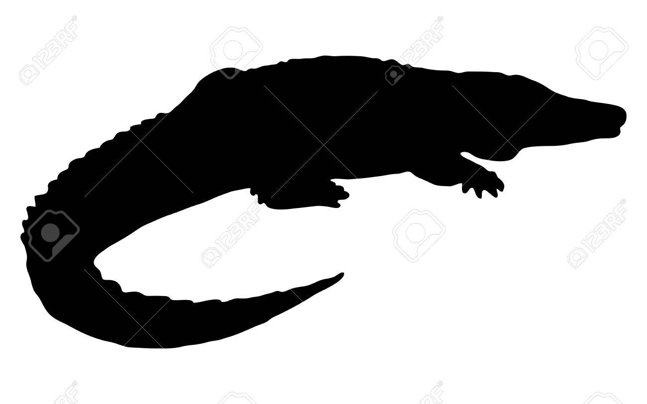 白い背景にワニのシルエットのイラスト素材 ベクタ Image 46043875