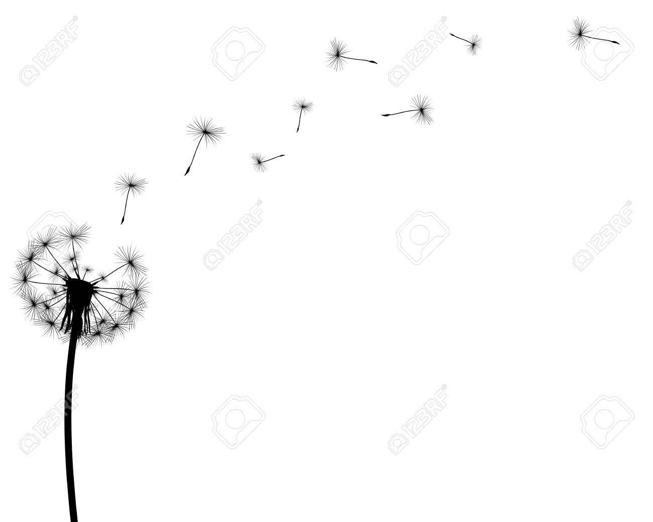 白い背景の上のタンポポの芽の飛行を持つ黒のシルエットのイラスト素材 ベクタ Image