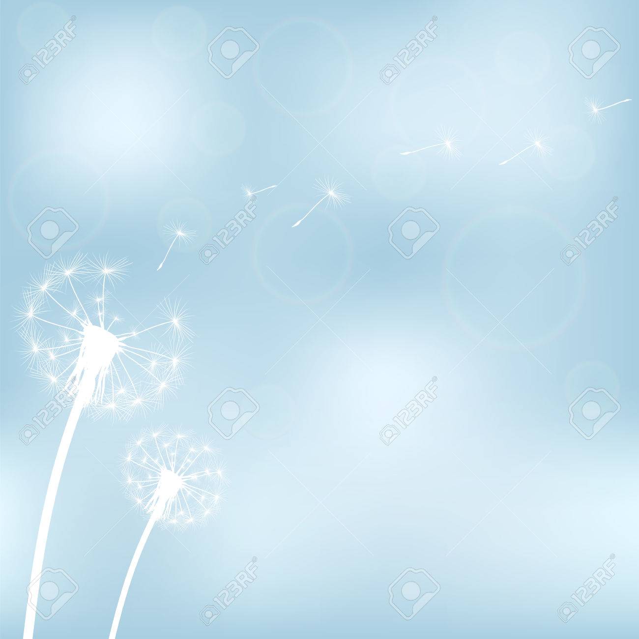 silhouette with flying dandelion buds on a white background - 53301667 silhouette with flying dandelion buds on a white background - 53301667