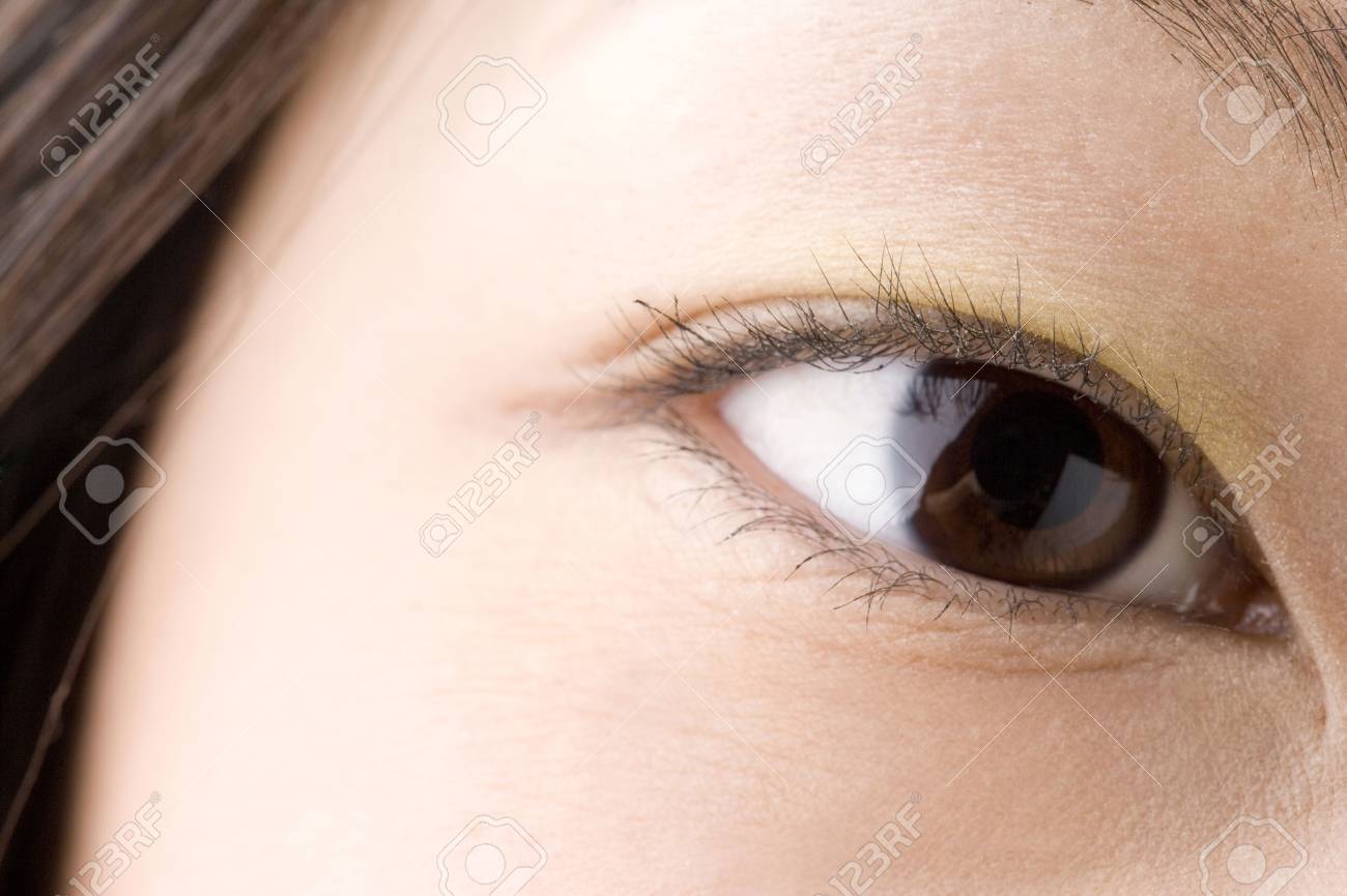 日本黒眼 の写真素材 画像素材 Image