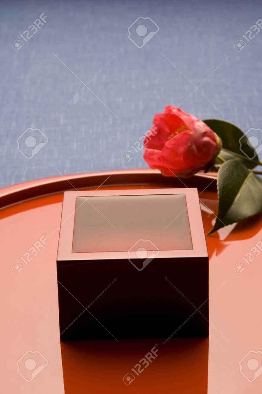 etiam-dictum-ipsum-a-felis