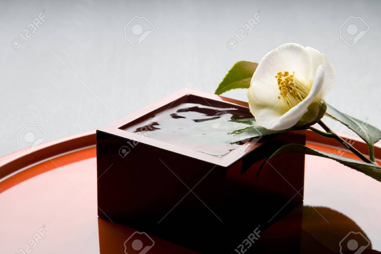 etiam-dictum-ipsum-a-felis