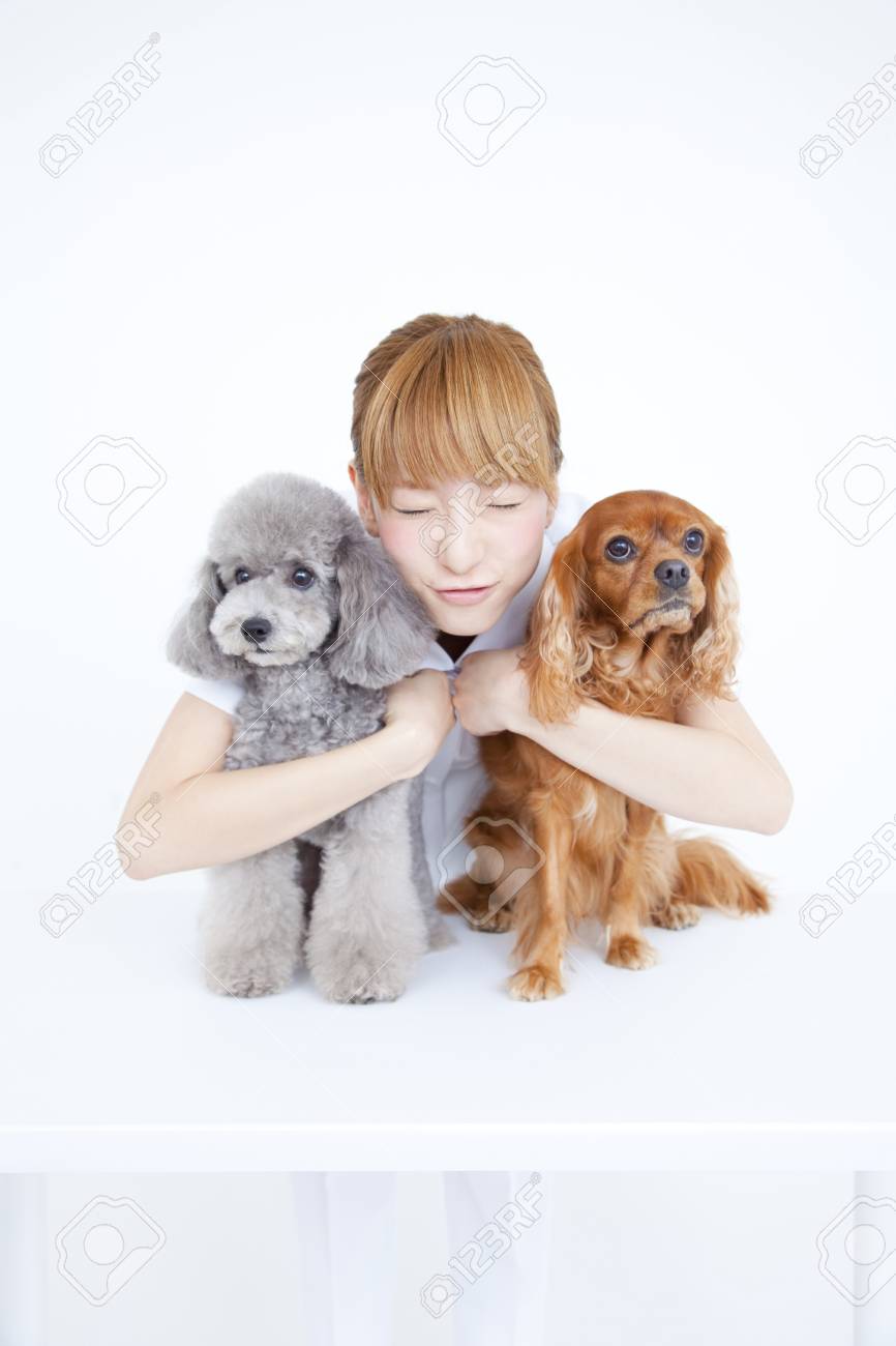 Toy poodle and cavalier Clearance