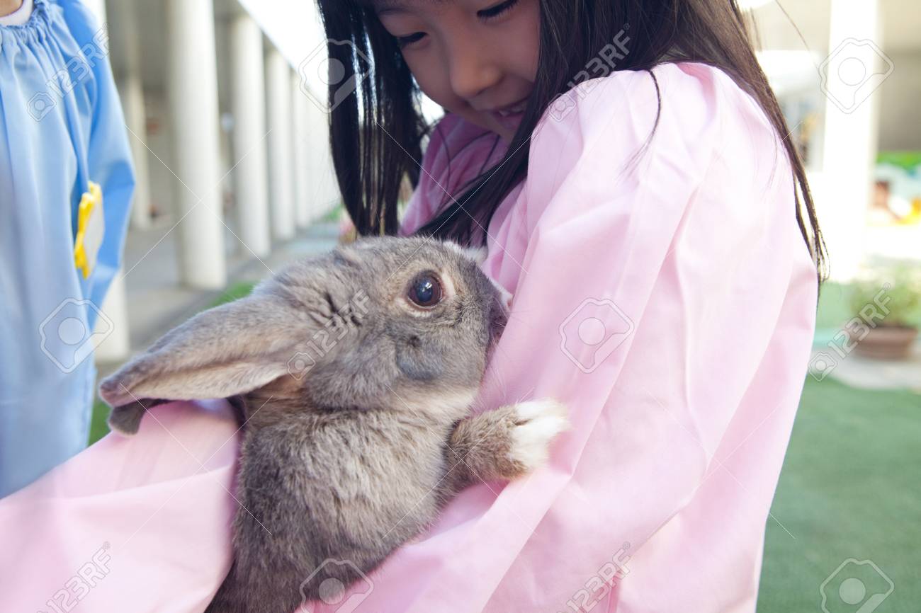 ウサギを抱っこする幼稚園女の子 の写真素材 画像素材 Image ウサギを抱っこする幼稚園女の子 の写真素材 画像素材 Image