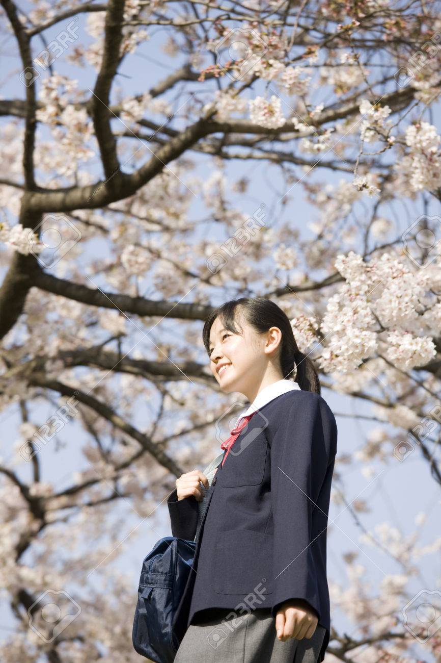 桜の木の下を歩く中学生女の子 の写真素材 画像素材 Image