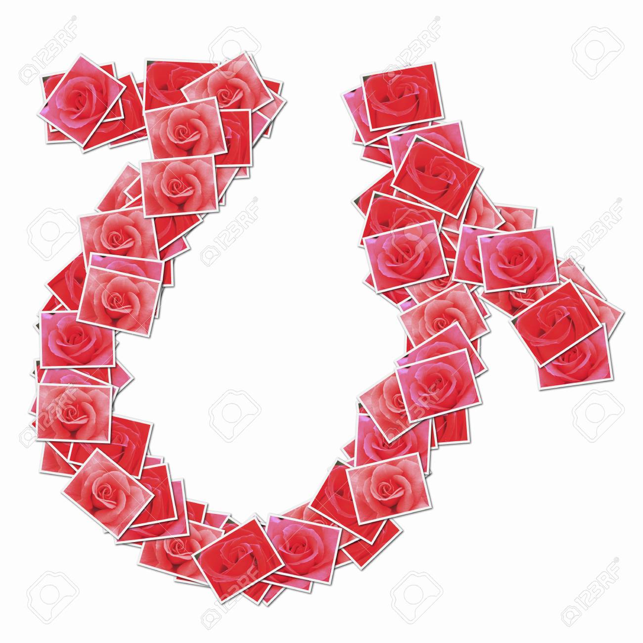 ローズは ひらがな文字を花します の写真素材 画像素材 Image