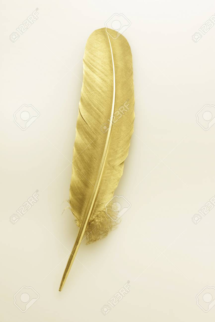 金の羽の写真素材・画像素材 Image 43588510