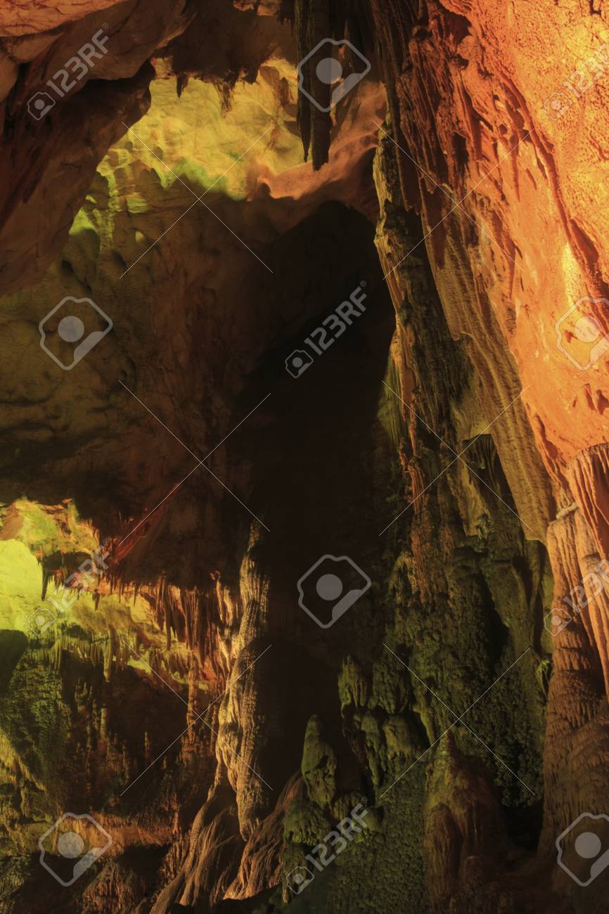 etiam-dictum-ipsum-a-felis