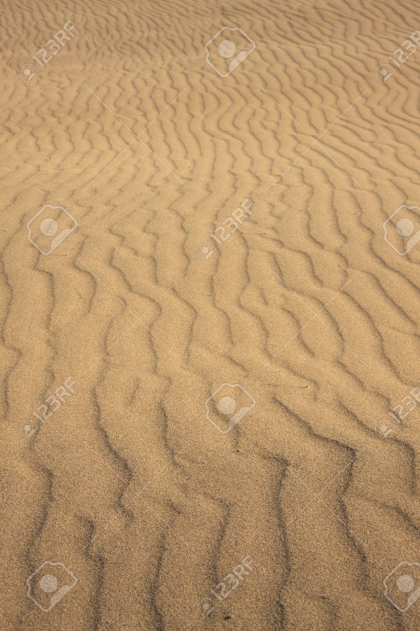 鳥取砂丘リップル の写真素材 画像素材 Image