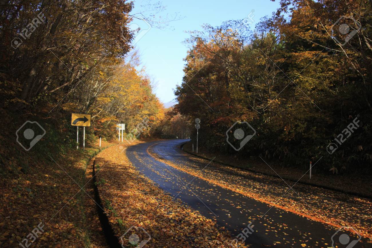 蒜山高原の紅葉 の写真素材 画像素材 Image