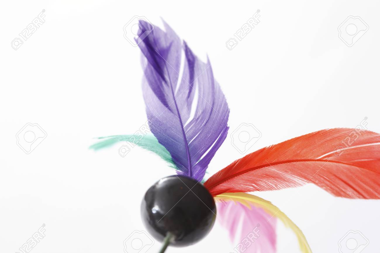 羽子板の羽根 の写真素材 画像素材 Image 羽子板の羽根 の写真素材 画像素材 Image