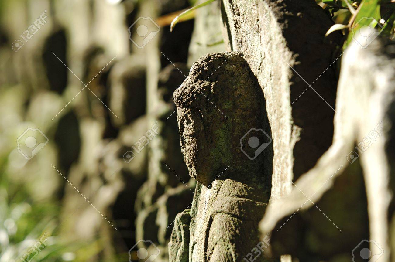 etiam-dictum-ipsum-a-felis