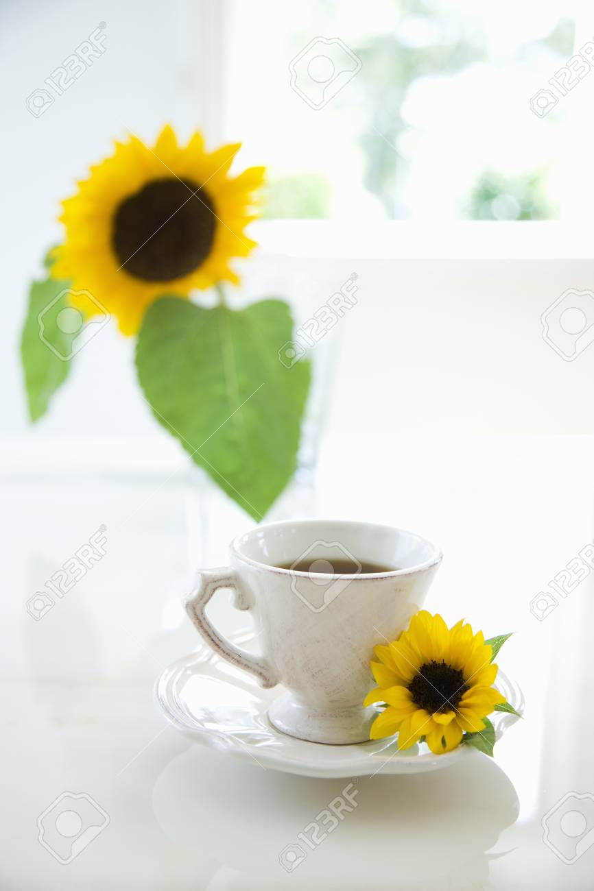 Coffee Cup With Sunflower Stock Photo Picture And Royalty Free Image Image 46830771
