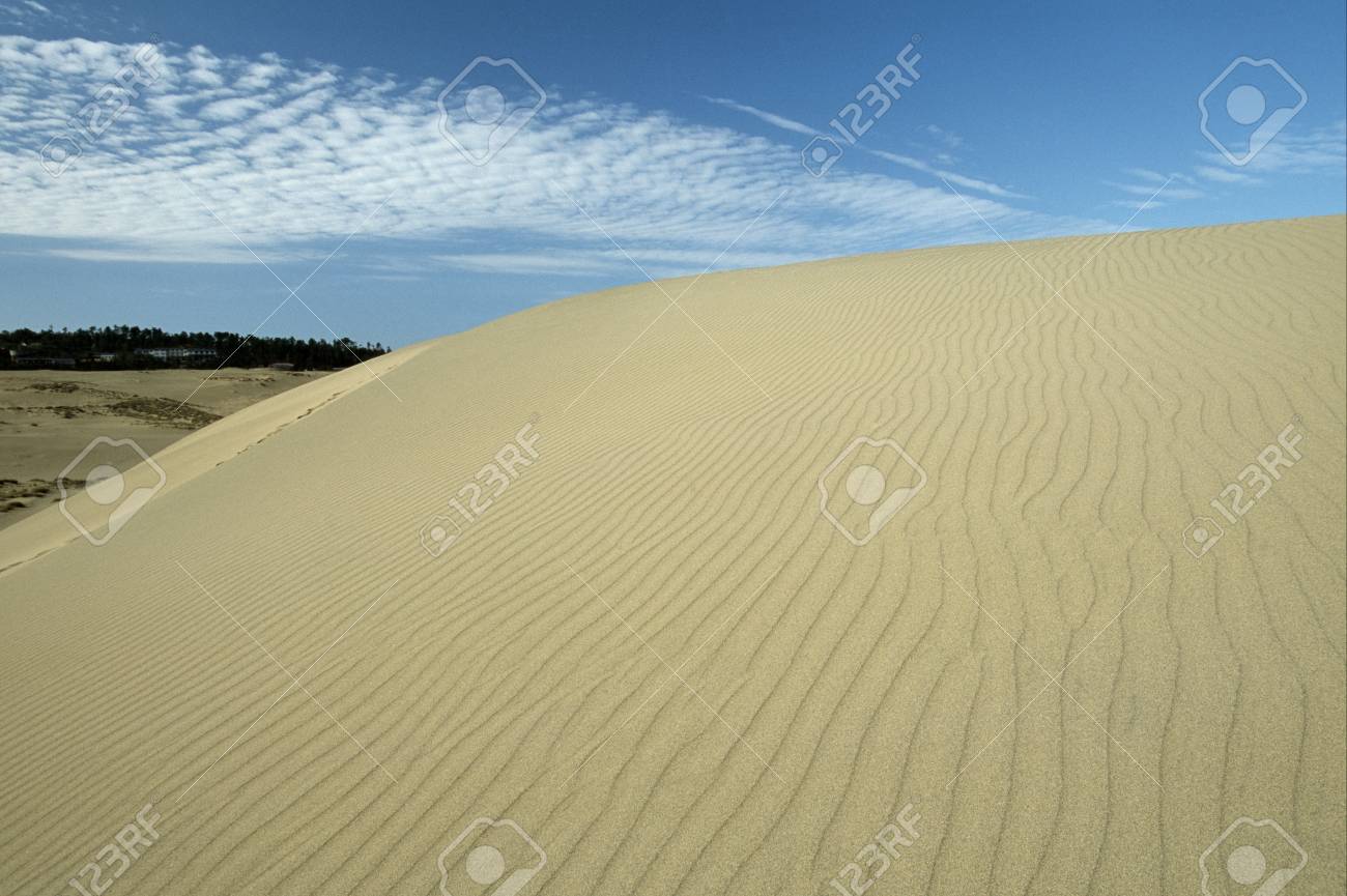 鳥取砂丘 の写真素材 画像素材 Image