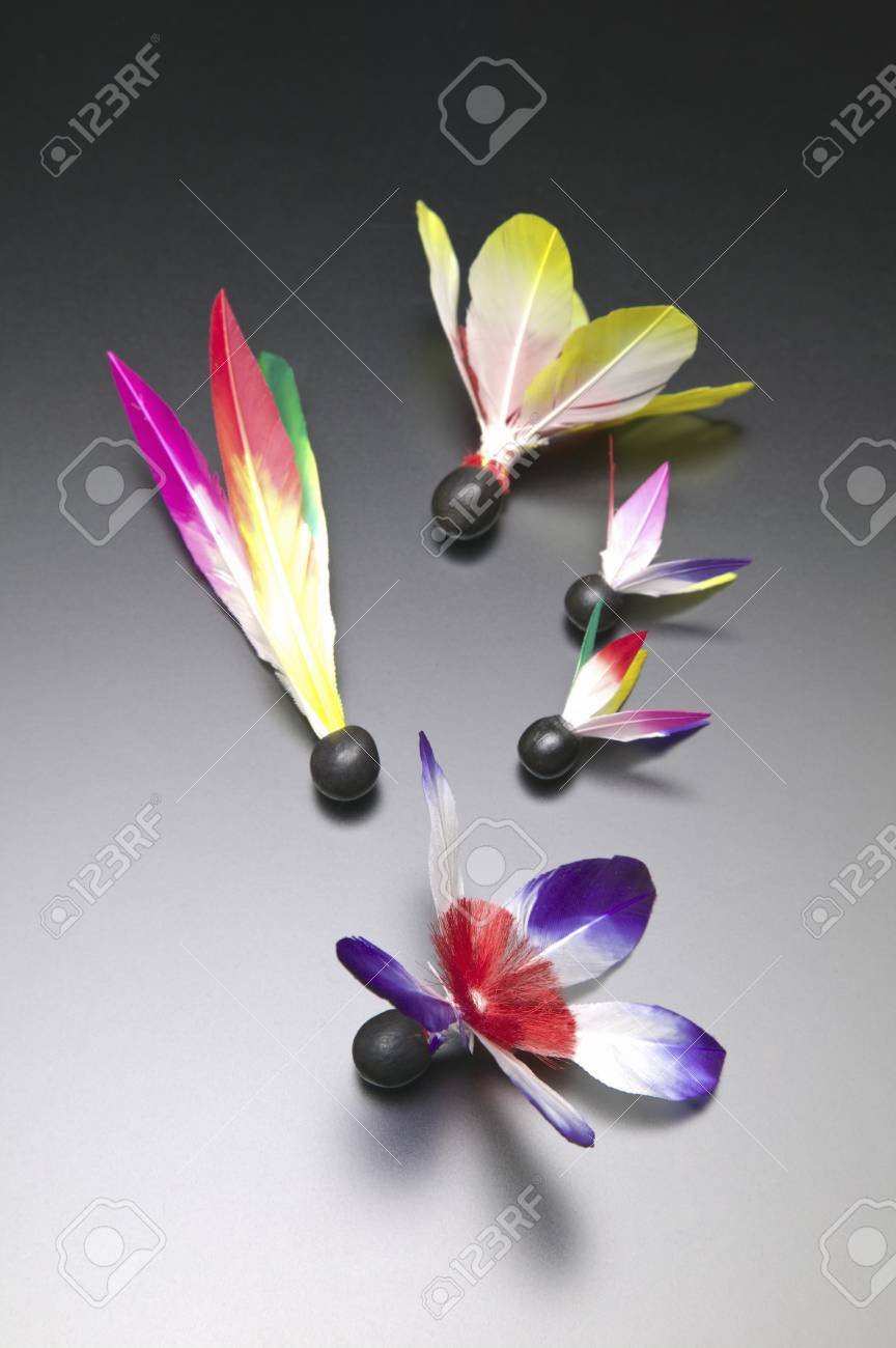 羽子板の羽 の写真素材 画像素材 Image