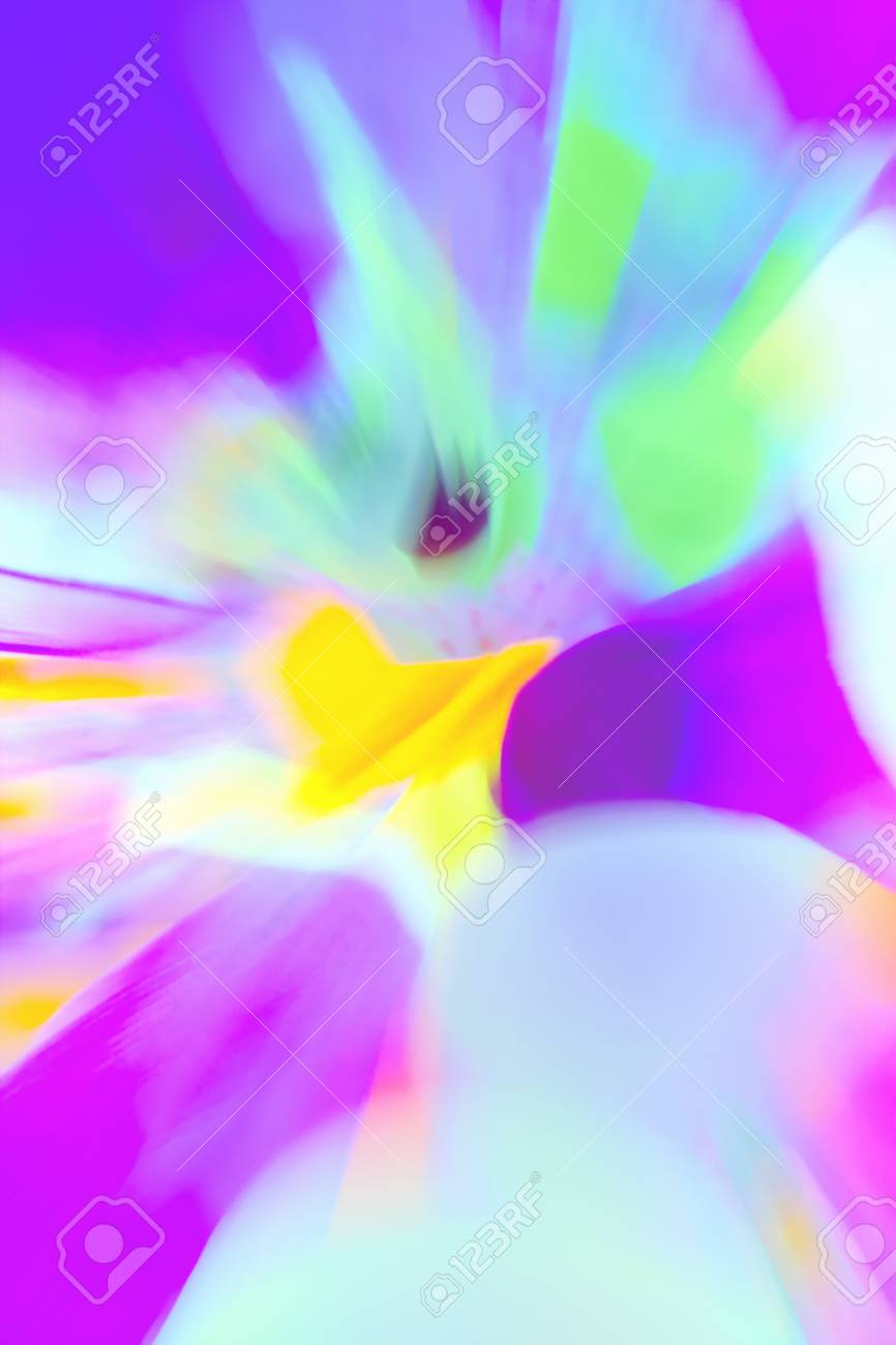 etiam-dictum-ipsum-a-felis