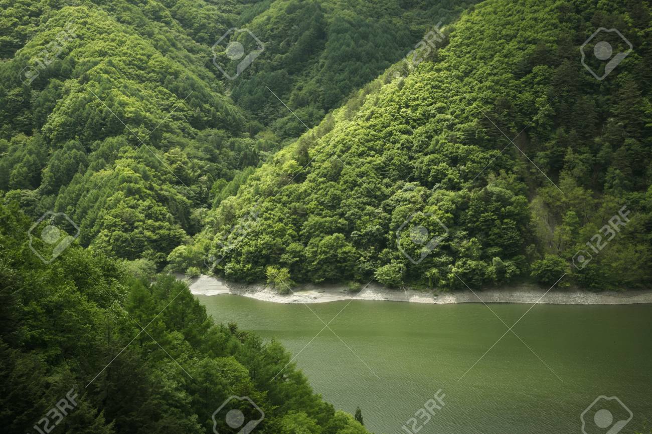 etiam-dictum-ipsum-a-felis