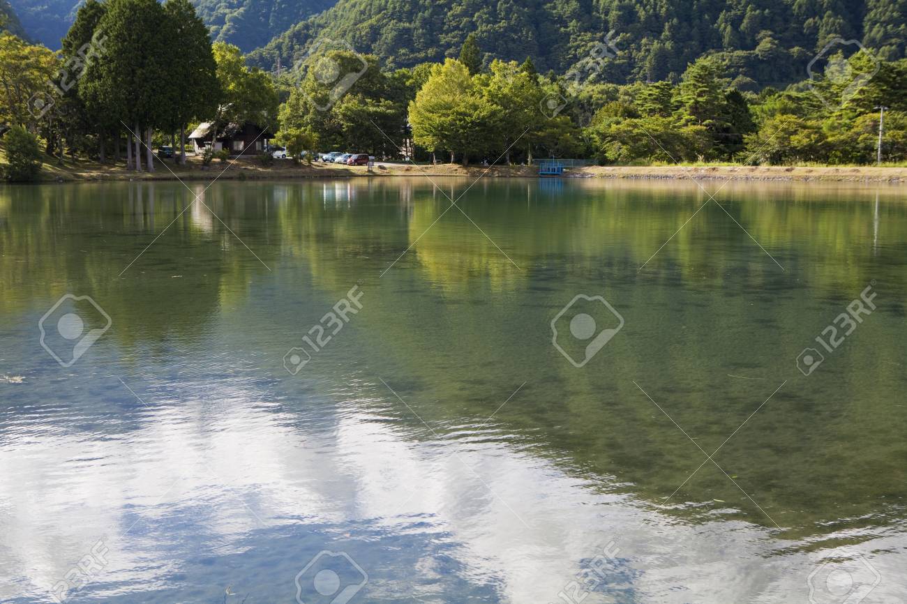 etiam-dictum-ipsum-a-felis