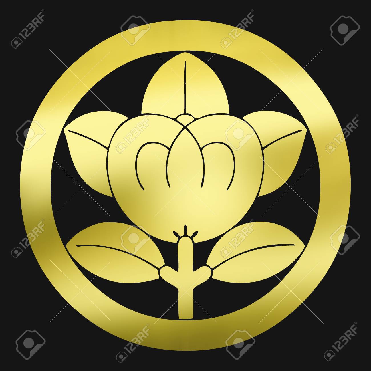 橘ラウンド 丸に橘 の写真素材 画像素材 Image