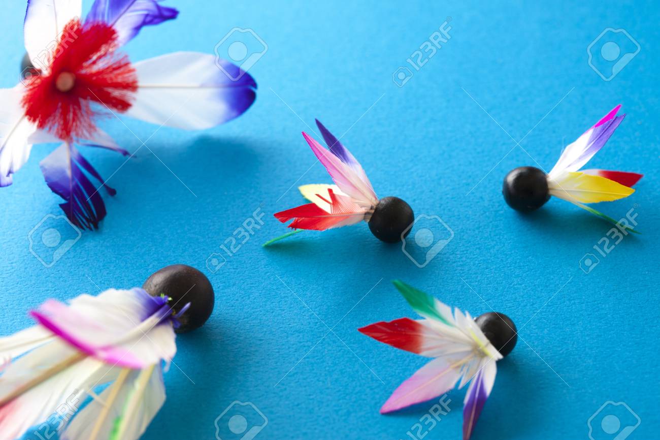 羽子板の羽根 の写真素材 画像素材 Image 5056 羽子板の羽根 の写真素材 画像素材 Image 5056