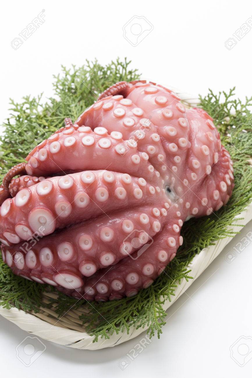 ゆでタコ の写真素材 画像素材 Image ゆでタコ の写真素材 画像素材 Image