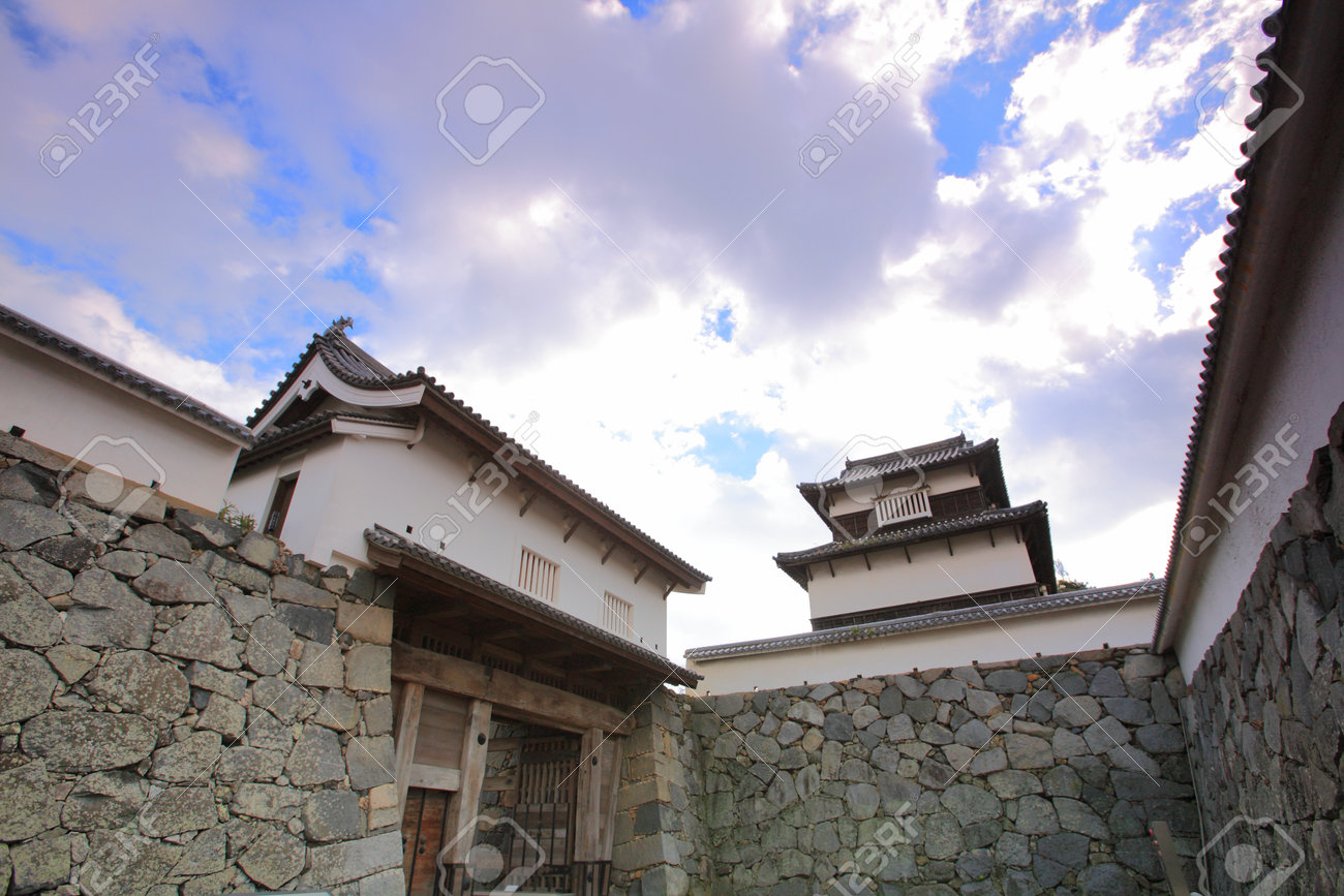 etiam-dictum-ipsum-a-felis