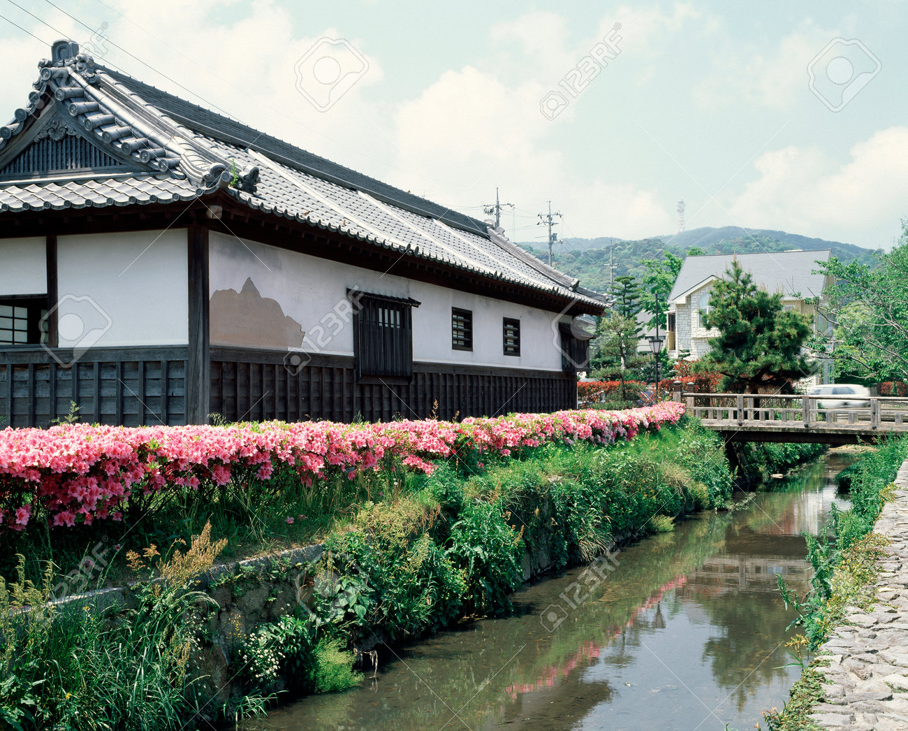 etiam-dictum-ipsum-a-felis