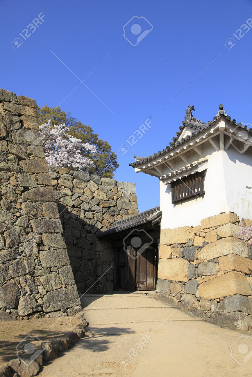 etiam-dictum-ipsum-a-felis