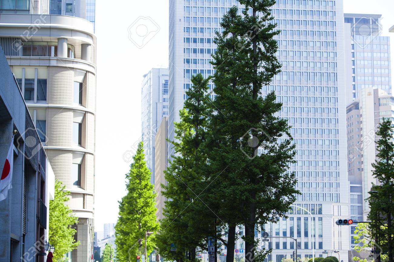 丸の内ビル群 の写真素材 画像素材 Image 丸の内ビル群 の写真素材 画像素材 Image