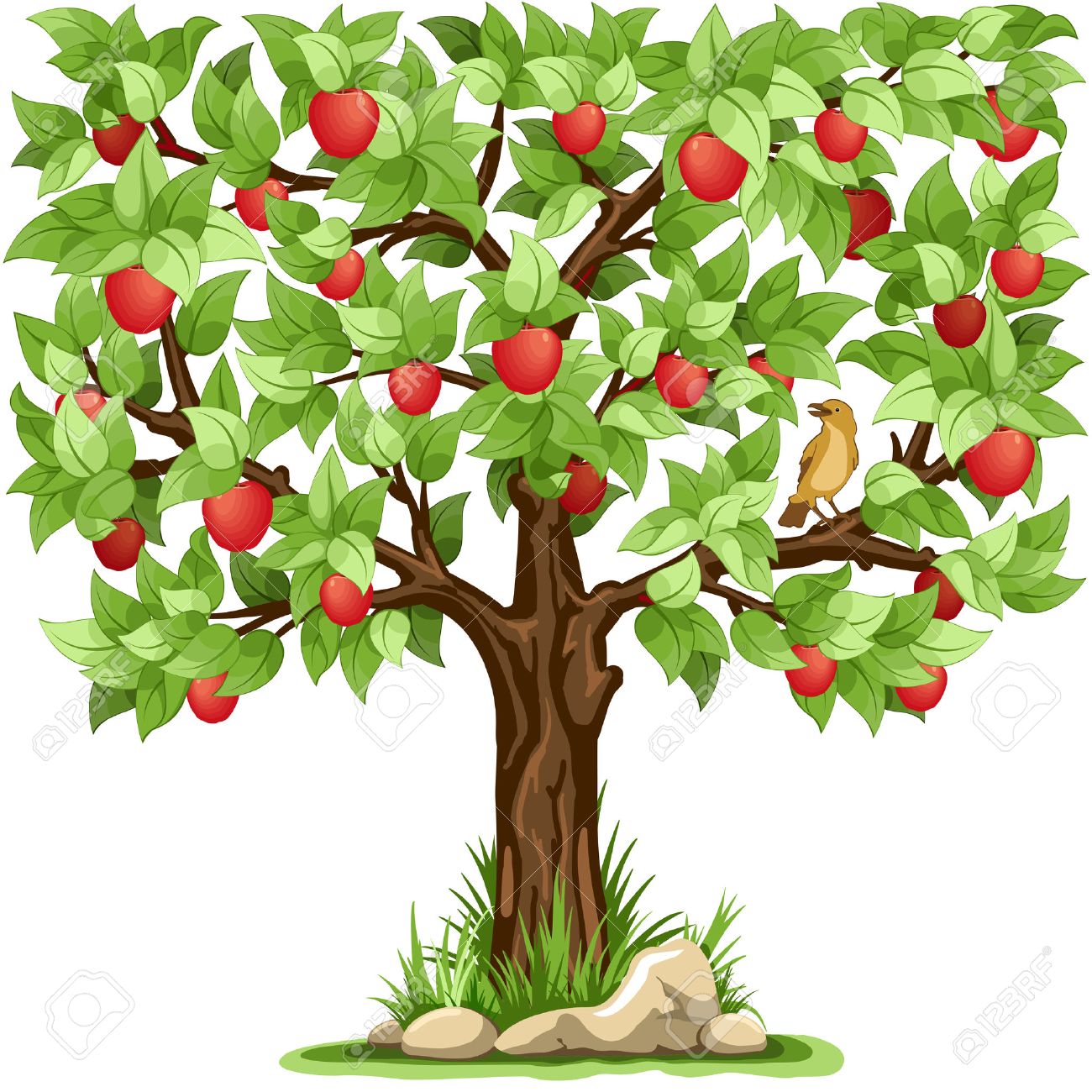 Cartoon apple tree isolated on white background - 55910312 Cartoon apple tree isolated on white background - 55910312