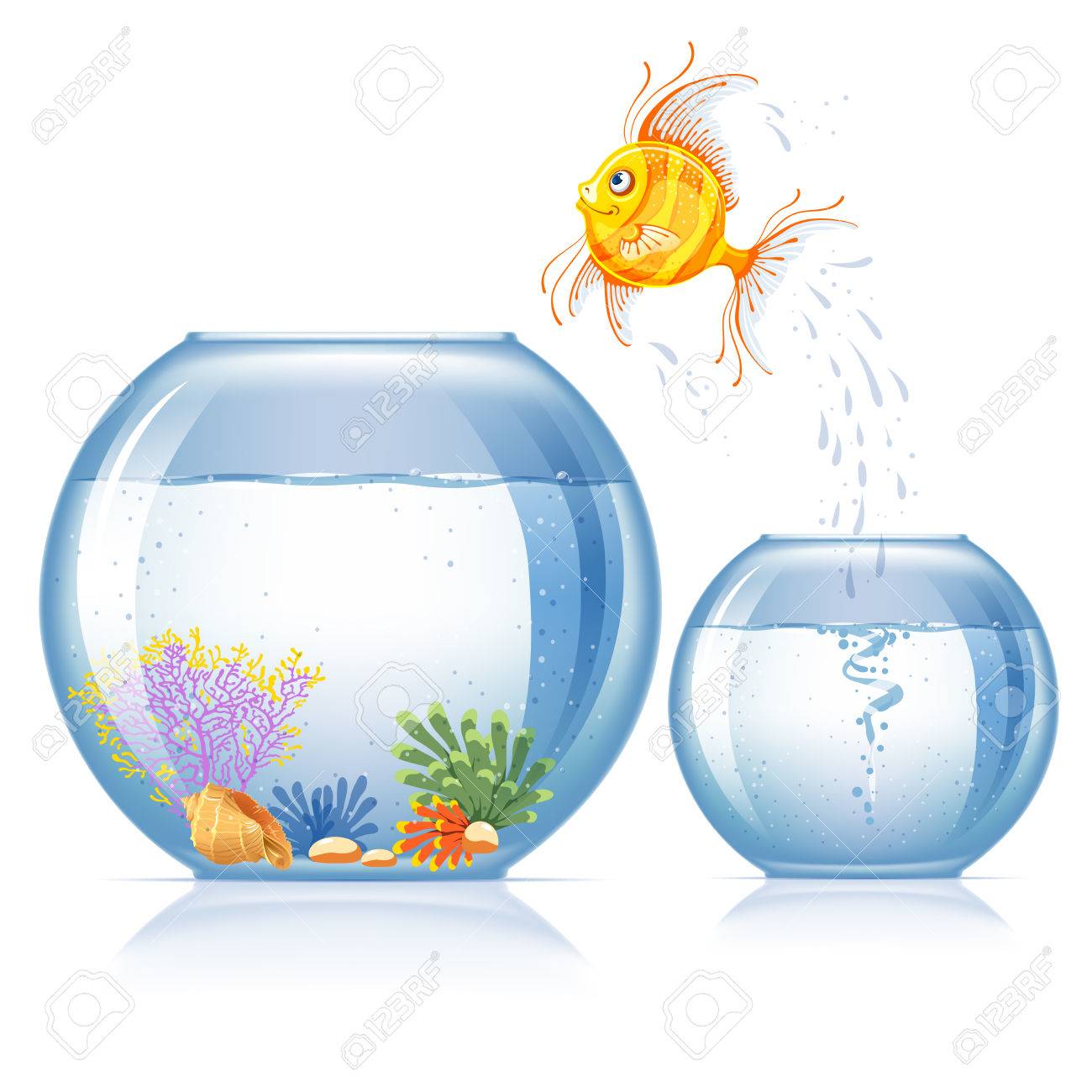 Lonely goldfish jumping to other aquarium, which bigger and more beautiful than the first - 57465283 Lonely goldfish jumping to other aquarium, which bigger and more beautiful than the first - 57465283