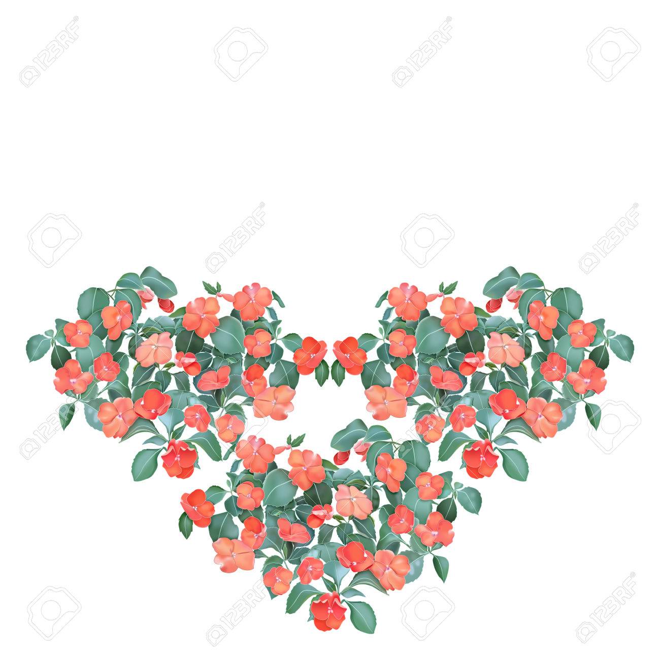 ブーゲンビリア クリッピング パスとイラスト Draing デザイン の写真素材 画像素材 Image