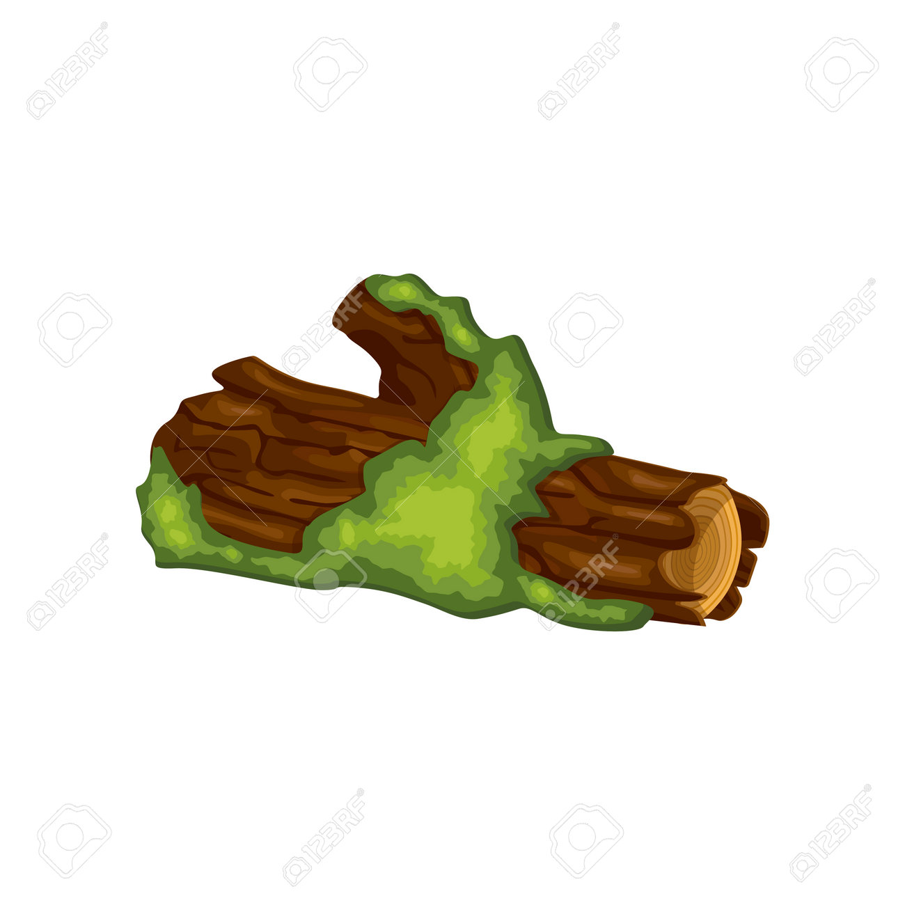 Cut Or Fallen Tree With Green Moss Vector Illustration. Isometric Cartoon  Drawing Of Part Of Tree With Moss In Jungle Or Swamp Isolated On White  Background. Nature, Environment, Biology Concept Royalty Free, image size:1300x1300